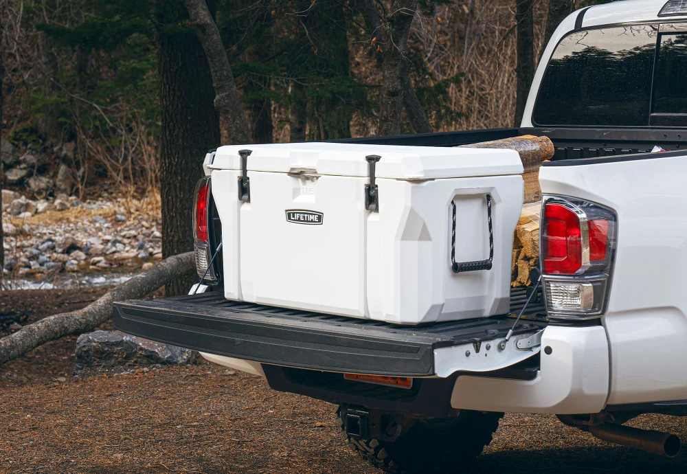 portable food cooler box